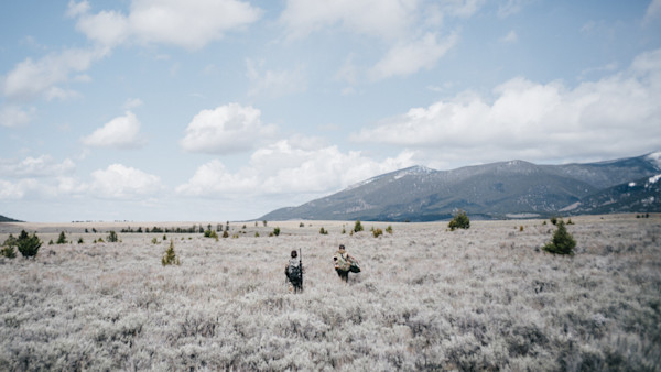 Here's Your Chance to Win Rifles, Shotguns, and More