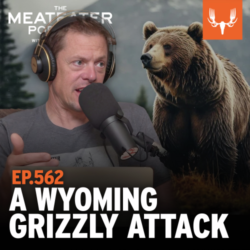 Ep. 562: A Wyoming Grizzly Attack
