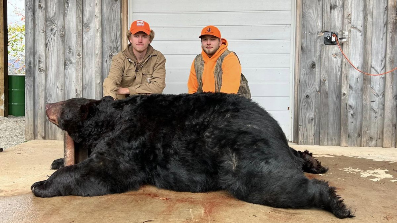 Photos: Hunter Harvests Record-Breaking Black Bear