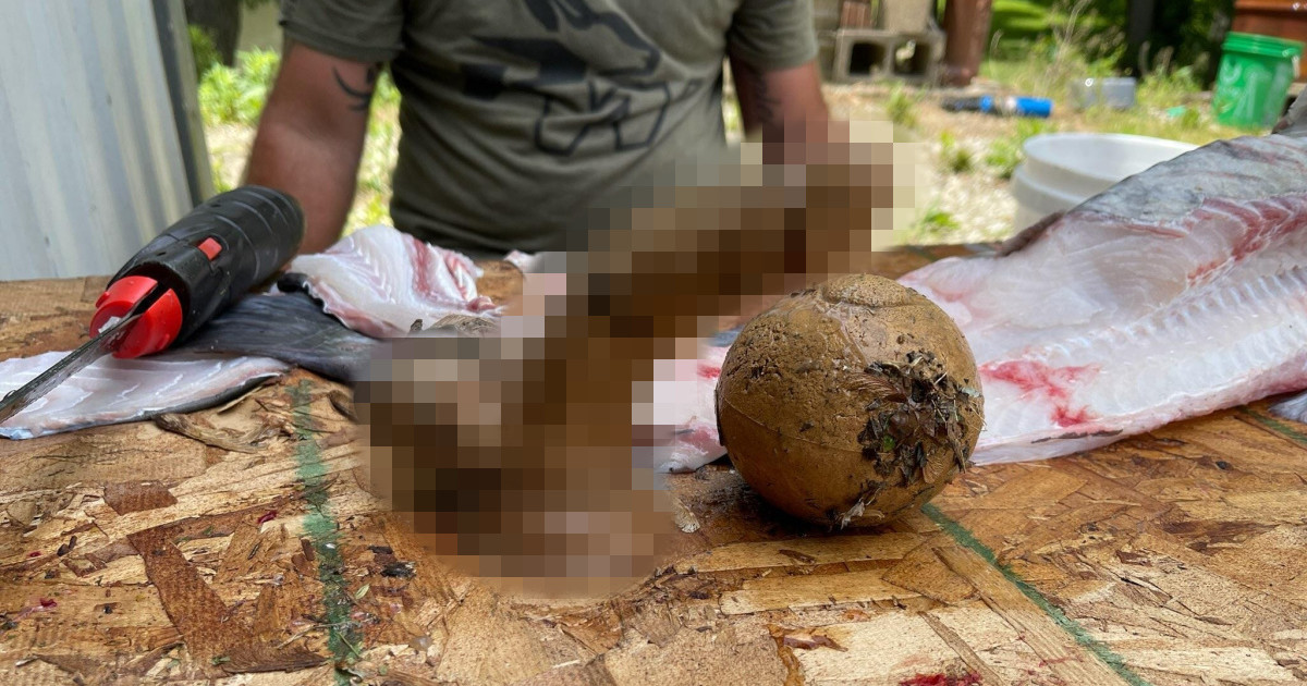 Photos: Fisherman Finds Sex Toy in Catfish's Stomach | MeatEater Fishing