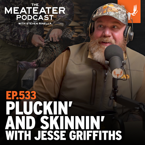 Ep. 533: Wild Turkeys: Pluckin’ and Skinnin’ with Jesse Griffiths