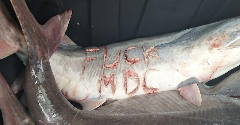 670543952 1239963581556050 1838555971414385454 n