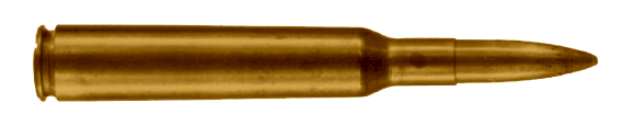 .256 newton