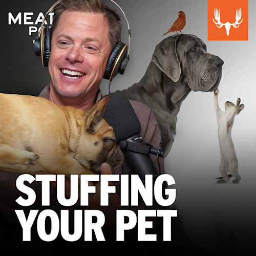 Ep.  743: Stuffing Your Pet