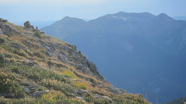 Spot and Stalk Hunting Tactics