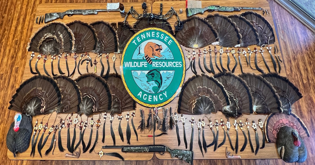 Tennessee Poacher Busted for Killing 30 Turkeys in Two Years Tennessee Poacher Busted for Killing 30 Turkeys in Two Years