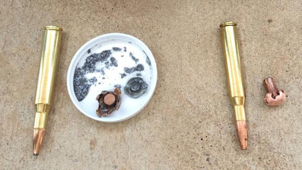 Lead Ammo and Wildlife: Separating Science from Advocacy