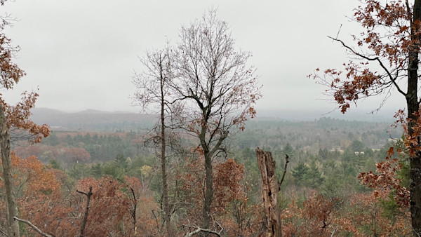 10 Things I Learned On My 10 Day Wisconsin Rut Hunt