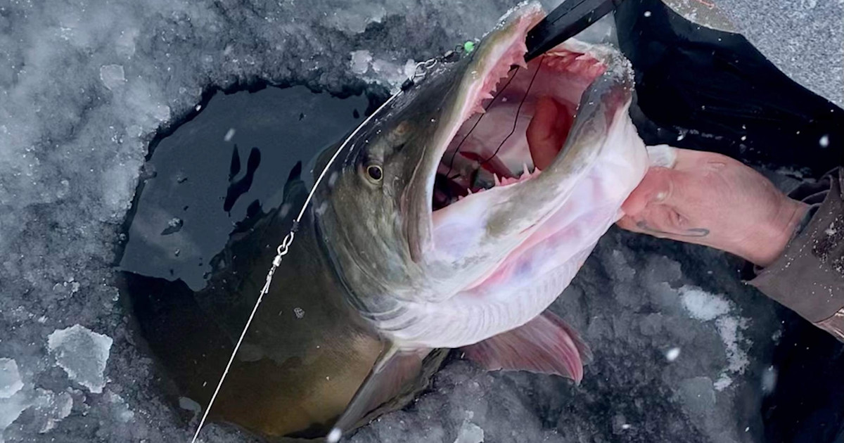 The 5 Hardest Fish to Catch Through the Ice The 5 Hardest Fish to Catch Through the Ice