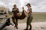 02082024_TX_HOG-1-59.jpg