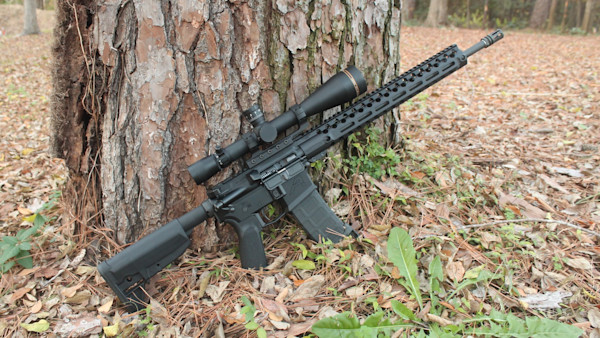 This Bill Would Ban Most Semi-Automatic Rifles in the U.S.