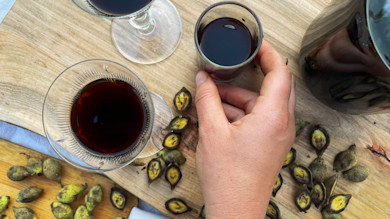Hand holding small glass of dark walnut liqueur beside two wine glasses and cracked green walnut shells on wood