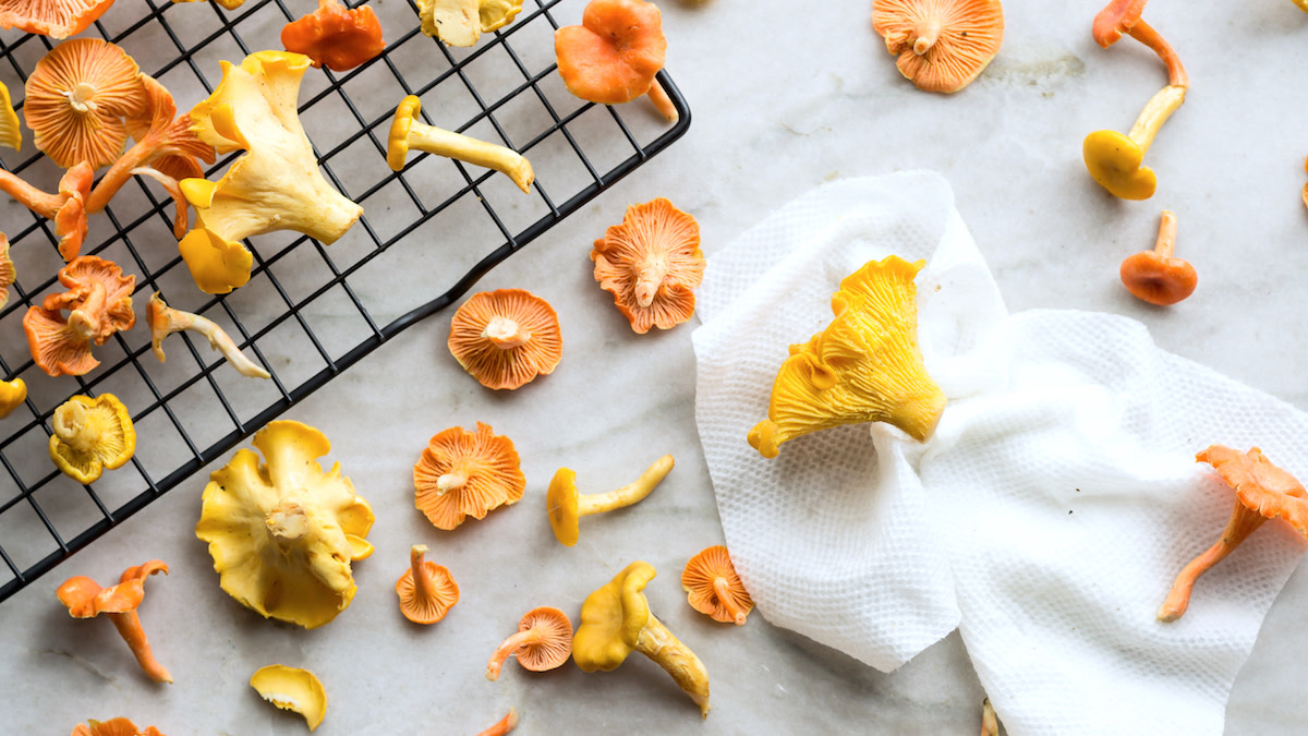 How to Clean Chanterelle Mushrooms