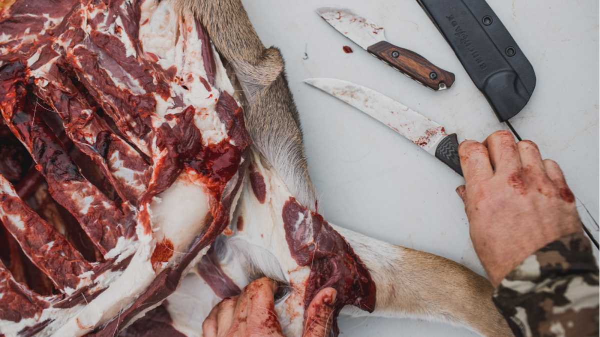 Undercooked Venison Can Cause Rare Blindness Disorder MeatEater Wild Foods