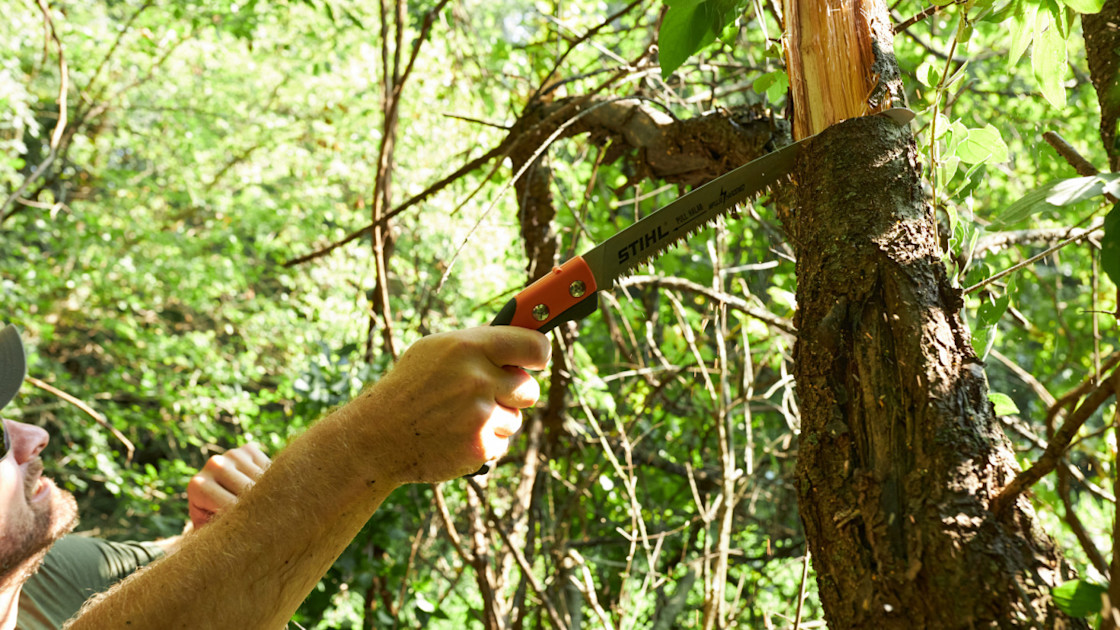 The Underappreciated Art of Trimming Shooting Lanes | MeatEater Wired ...