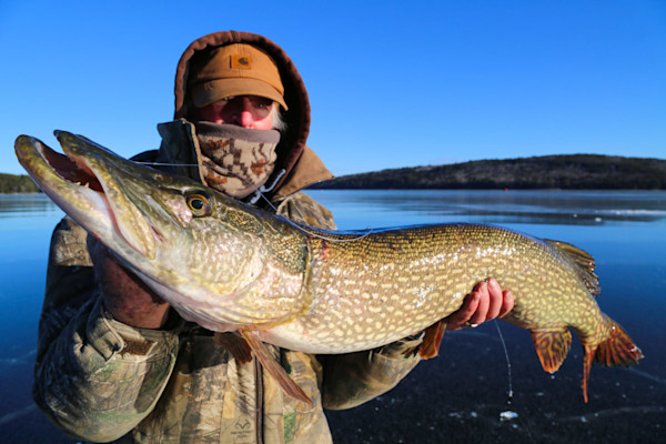 Pike Under Ice: Advanced Tactics for Spooky Winter Northerns