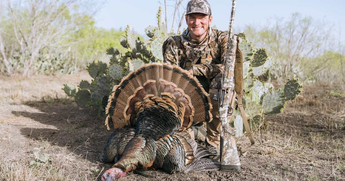 How to Ambush A Turkey How to Ambush A Turkey