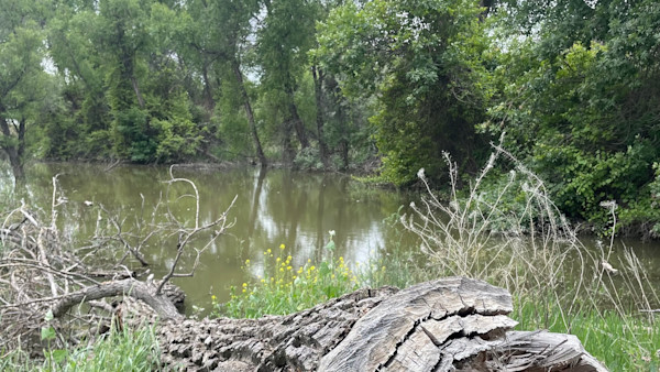 MeatEater Auction House of Oddities is Back to Support a New Access Project