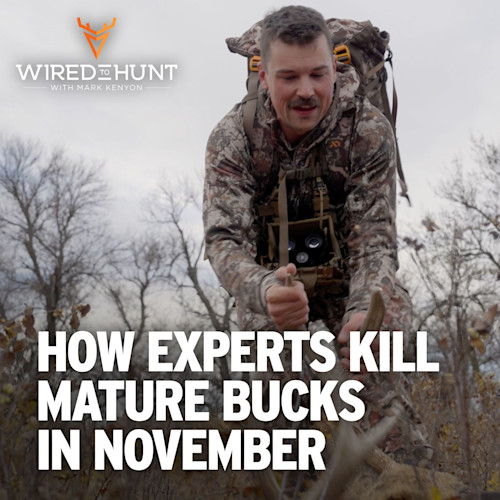 Ep. 969: How the Experts Kill Mature Bucks in November