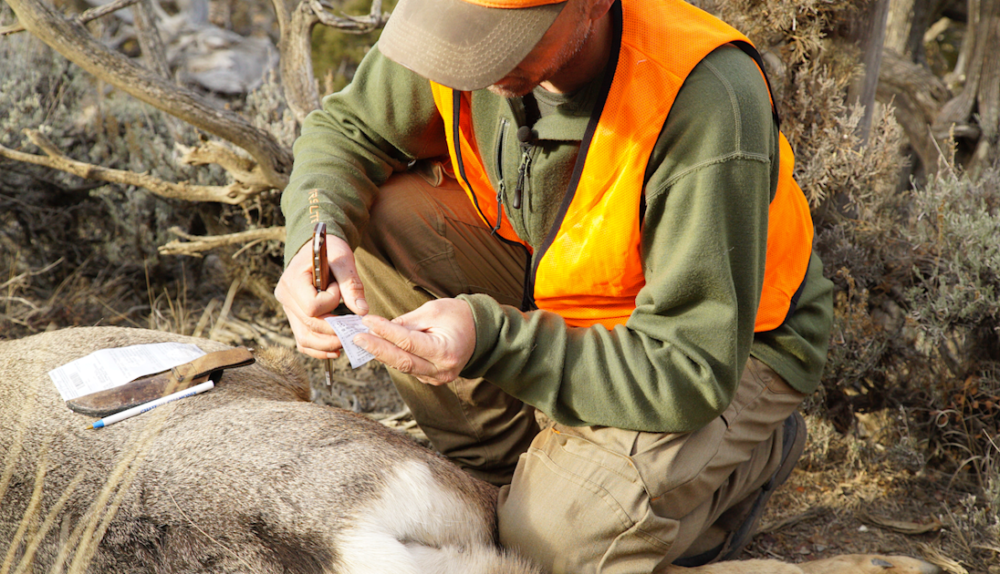 MeatEater Season 7: Steve and Brody Hunt Colorado Mule Deer | MeatEater ...