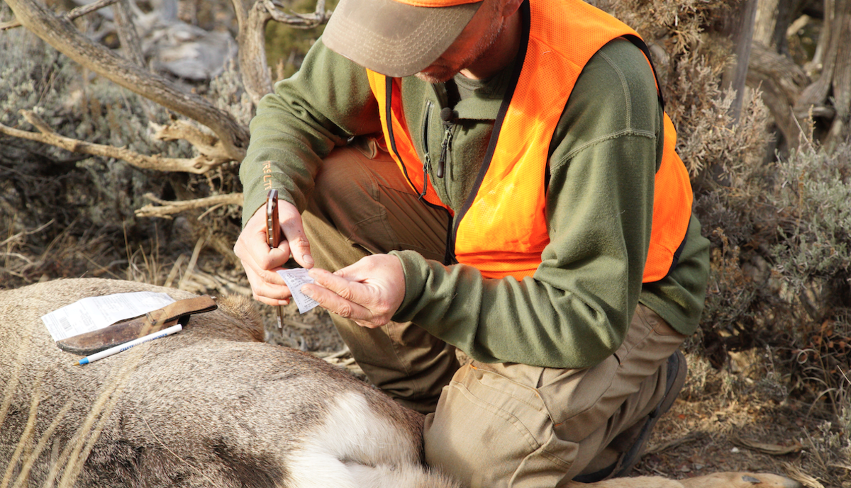 MeatEater Season 7: Steve and Brody Hunt Colorado Mule Deer
