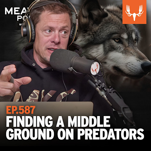 Man with headphones speaking into mic, wolf portrait behind, text "EP.587 FINDING A MIDDLE GROUND ON PREDATORS"