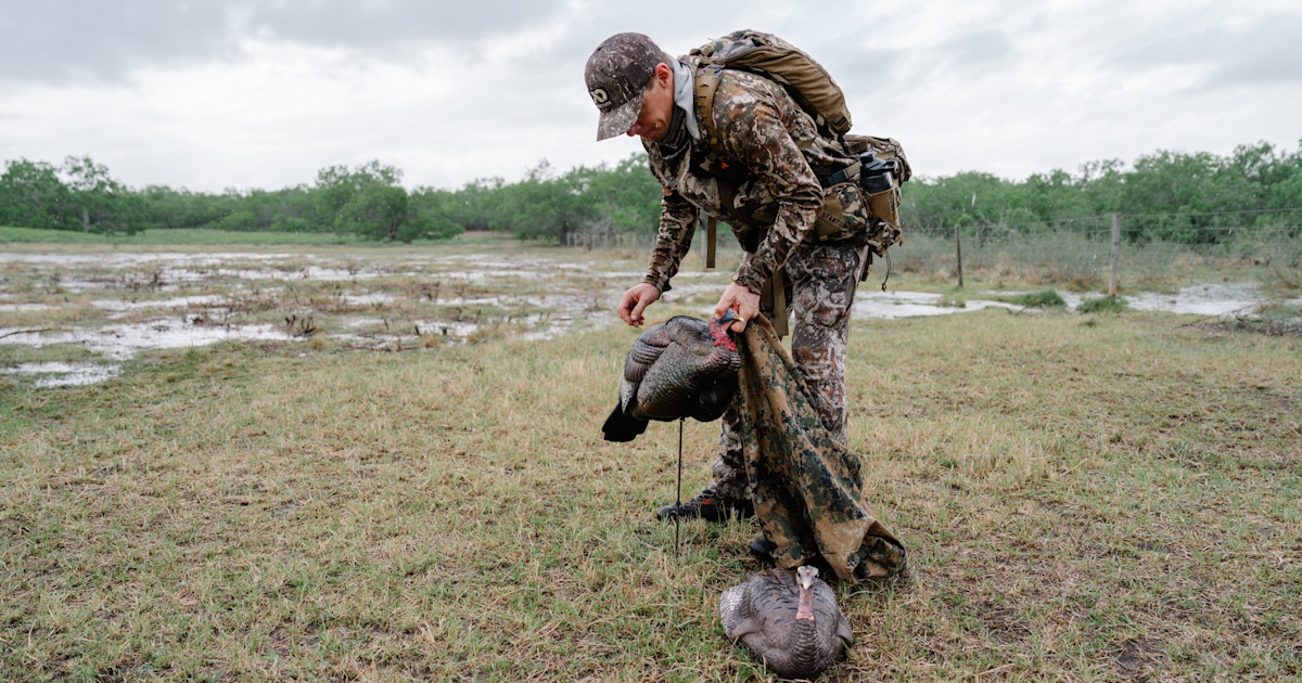 When to Use or Ditch Your Turkey Decoys When to Use or Ditch Your Turkey Decoys