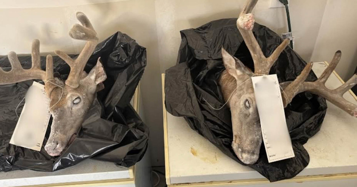 Texas Man Faces 74 Charges for Poaching, Meth, and More Texas Man Faces 74 Charges for Poaching, Meth, and More