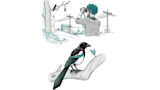 Catch a Crayfish, Count the Stars: Become a Backyard Bird-Watcher 