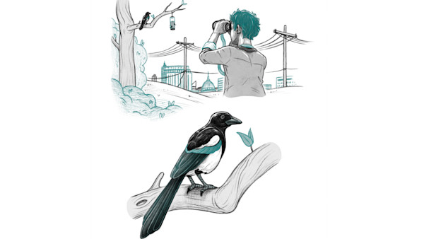 Catch a Crayfish, Count the Stars: Become a Backyard Bird-Watcher 