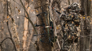 Off-Season Archery Training Tips to Help You Kill More Deer