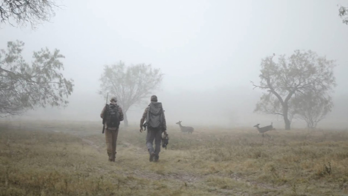 Lone Star Whitetails