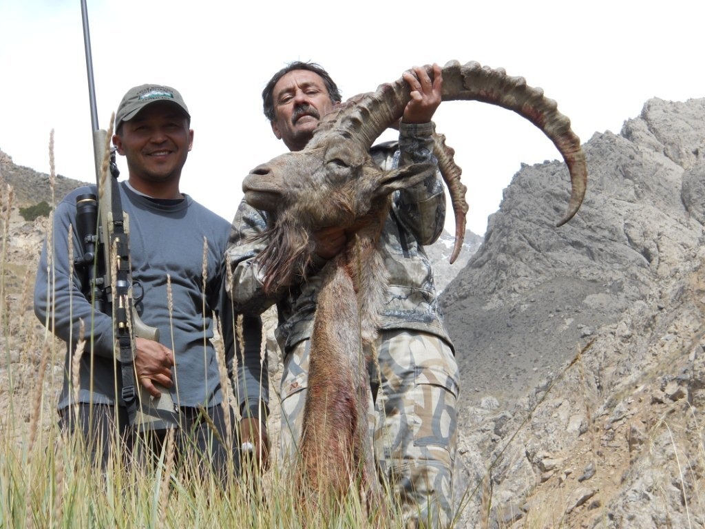 Two men in rocky mountains holding an ibex with long curved horns; one man holds a rifle