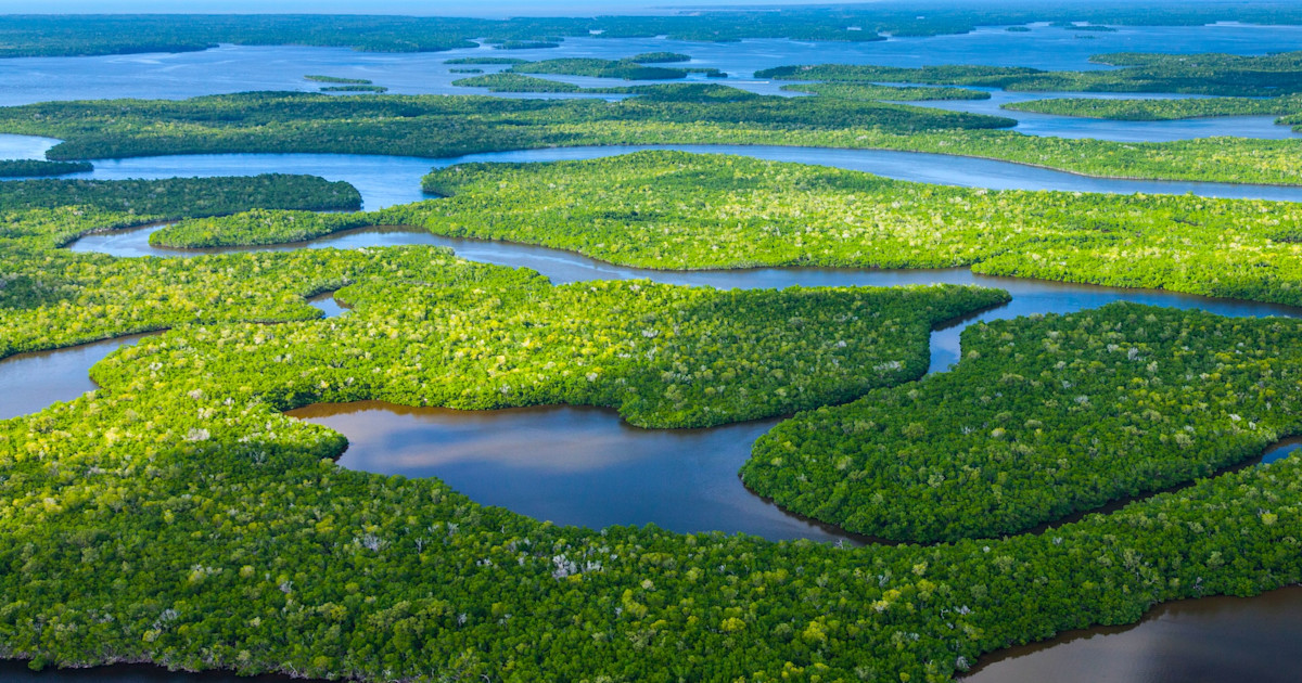 Florida Bill Threatens Public Advocacy for Lands, Water, Wildlife Florida Bill Threatens Public Advocacy for Lands, Water, Wildlife