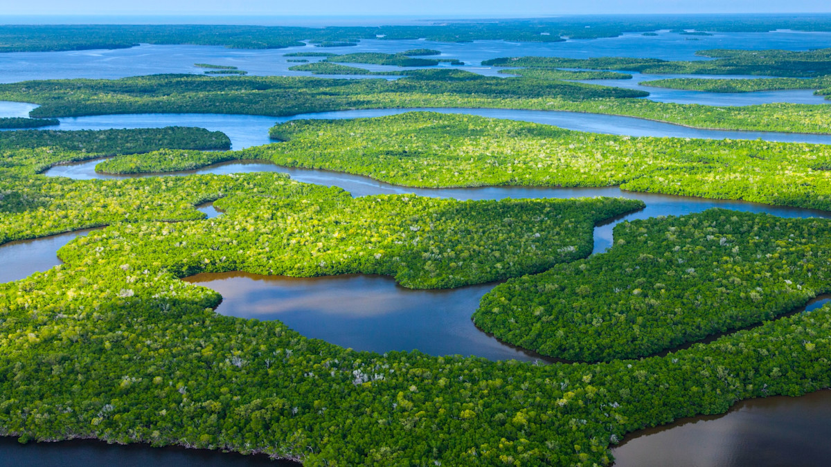 Florida Bill Threatens Public Advocacy for Lands, Water, Wildlife 