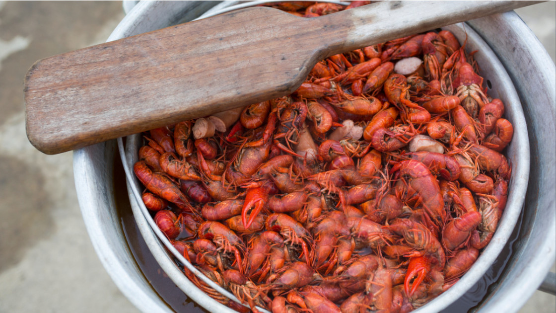 Catching crawfish yourself is simple