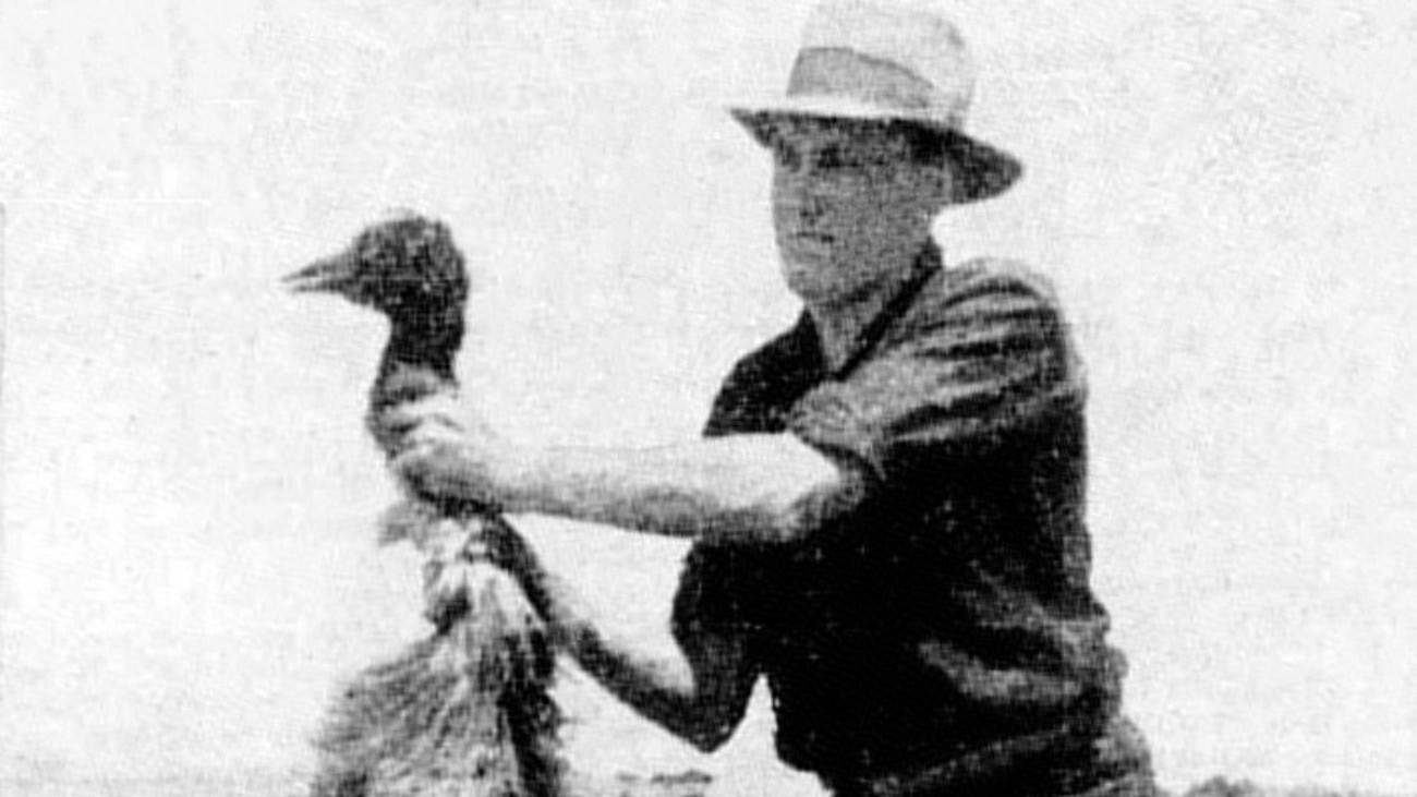 The Great Emu War of 1932