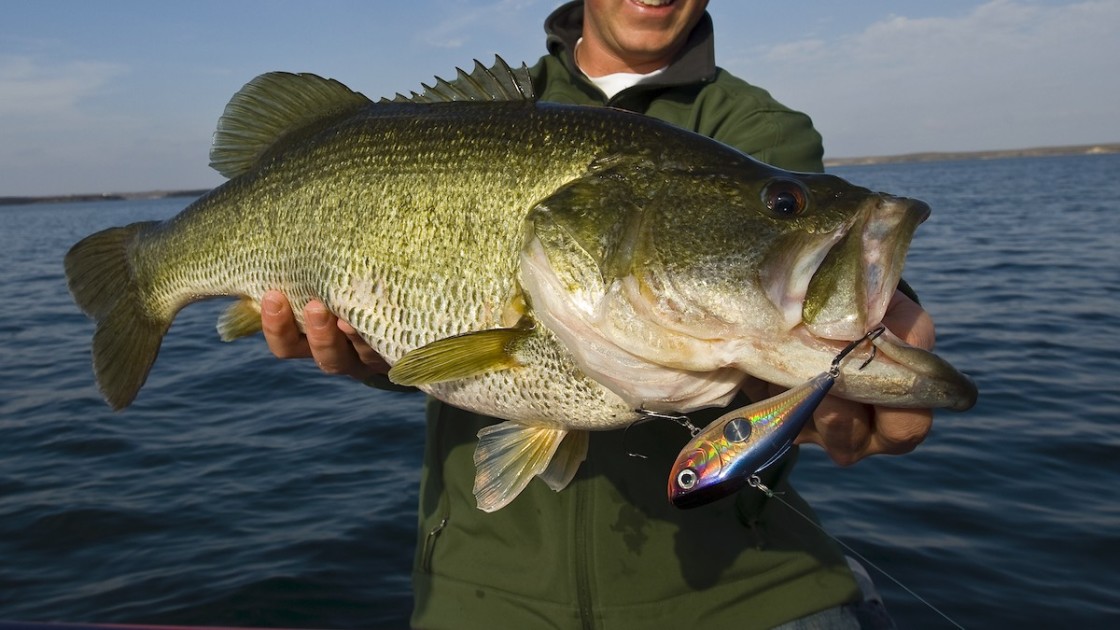 No One On Your Lake Is Trying This For Fall Bass 