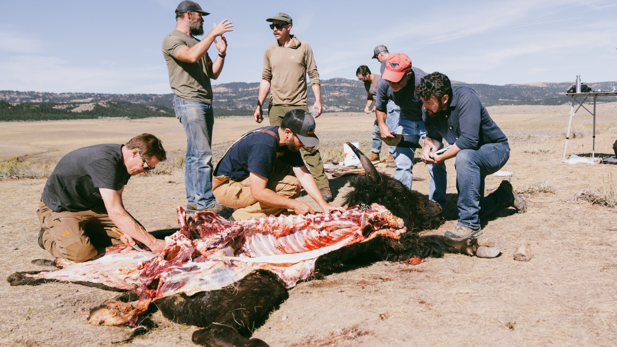 Butchering a Bison with Clovis Points and Tools
