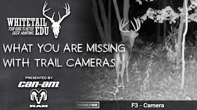 How Most Hunters Misuse Their Trail Cameras