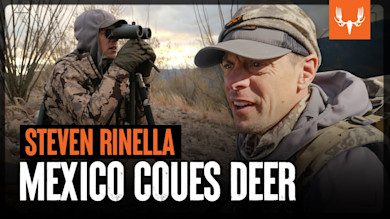 Mexico Coues Deer