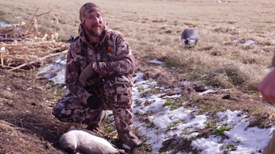 Montana Goose Hunting with Ryan Callaghan and Miles Nolte