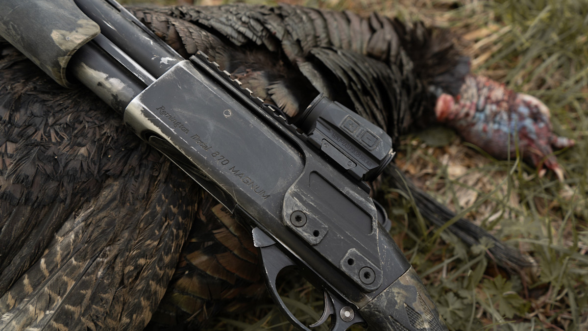 workhorse shotgun-2.jpg
