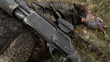 workhorse shotgun-2.jpg