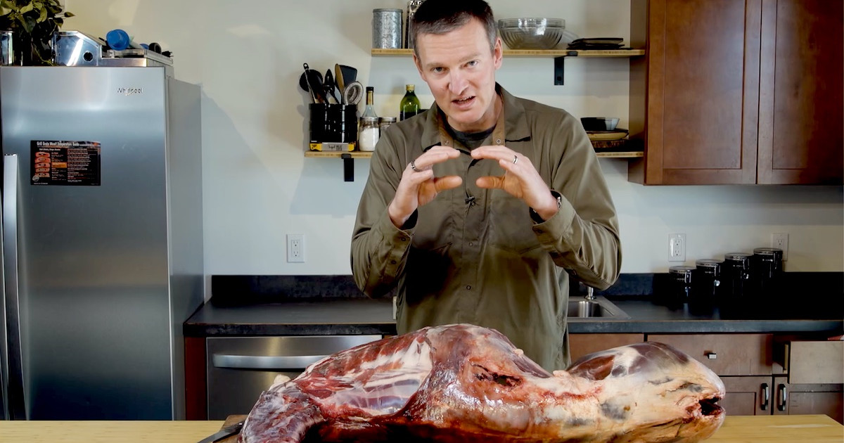 Video: How to Remove Backstraps from a Deer