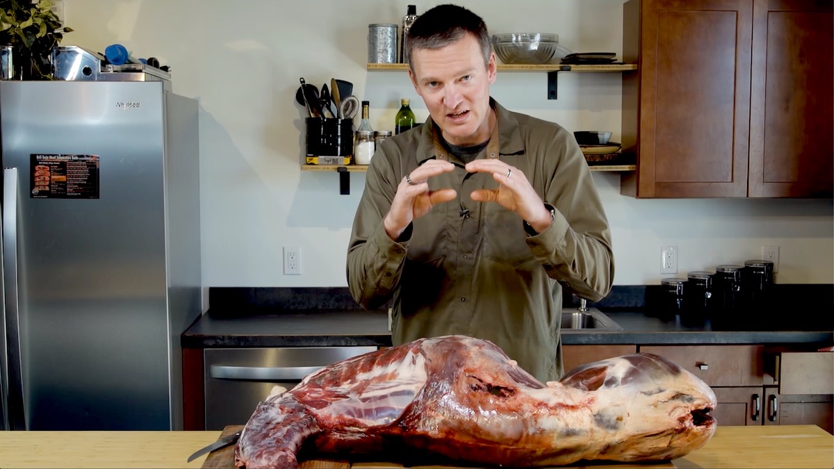 Video: How to Remove Backstraps from a Deer