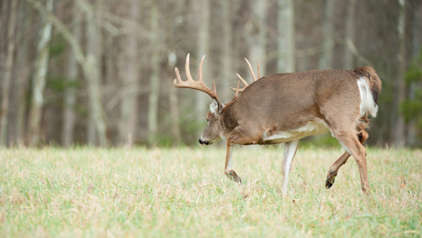 Rut Fresh Report: 10/28/21