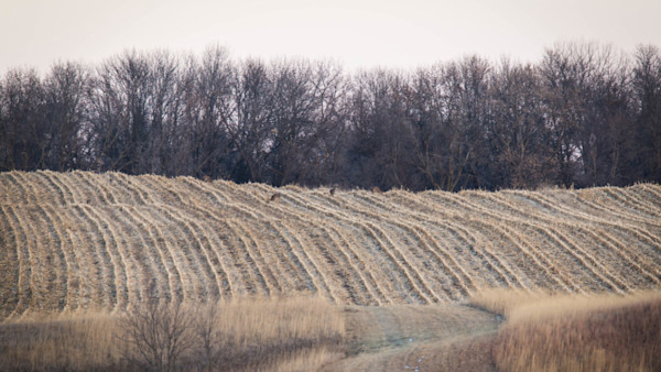 How to Find Hunting Permission