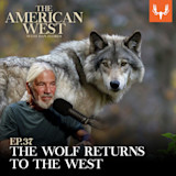 Gray wolf beside man at microphone; text: 'THE AMERICAN WEST WITH DAN FLORES' and 'THE WOLF RETURNS TO THE WEST'