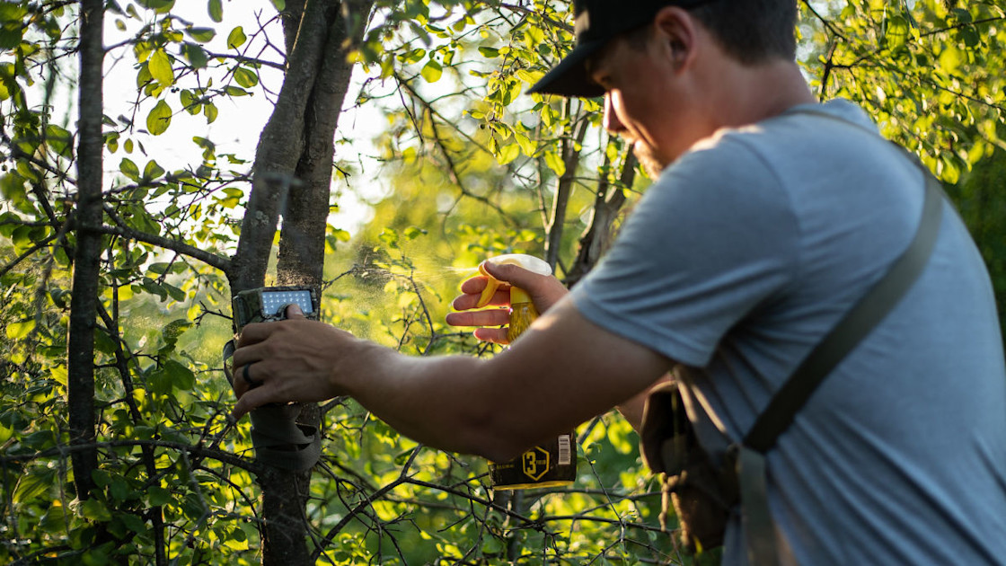 How to Make a Mock Scrape | MeatEater Wired to Hunt
